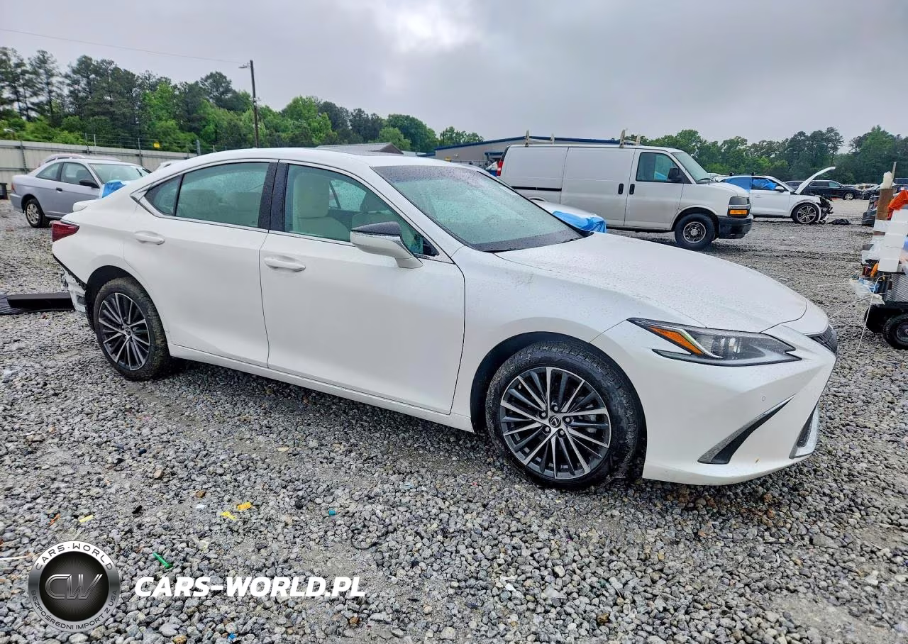 2022 Lexus Es 250 VIN:58AD11D12NU008418 - 4