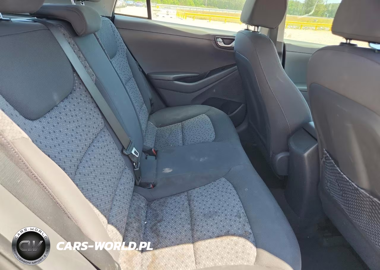 2018 Hyundai Ioniq Blue VIN:KMHC65LC4JU087423 - 10