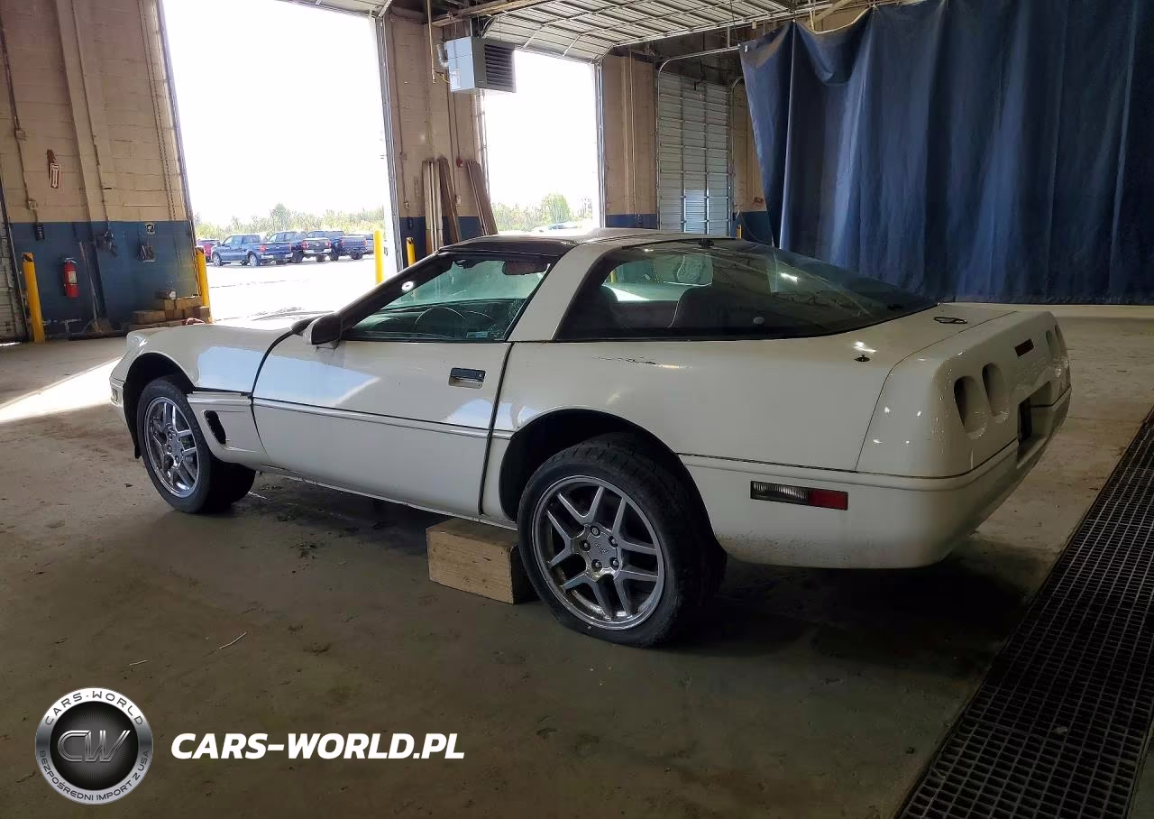 1995 Chevrolet Corvette VIN:1G1YY22P5S5109862 - 2