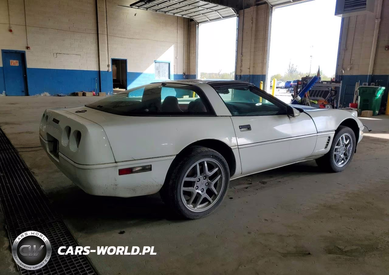 1995 Chevrolet Corvette VIN:1G1YY22P5S5109862 - 3