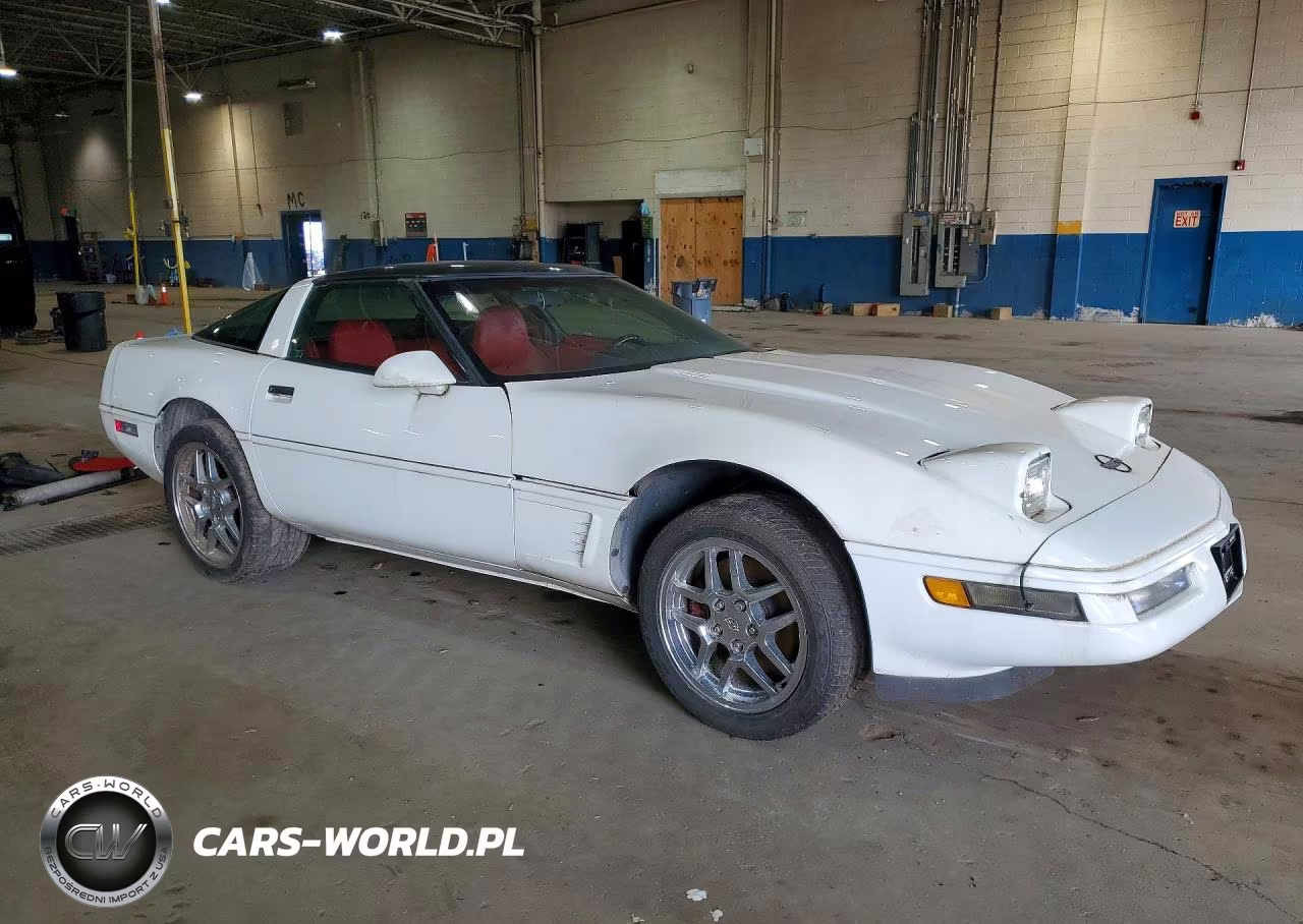 1995 Chevrolet Corvette VIN:1G1YY22P5S5109862 - 4