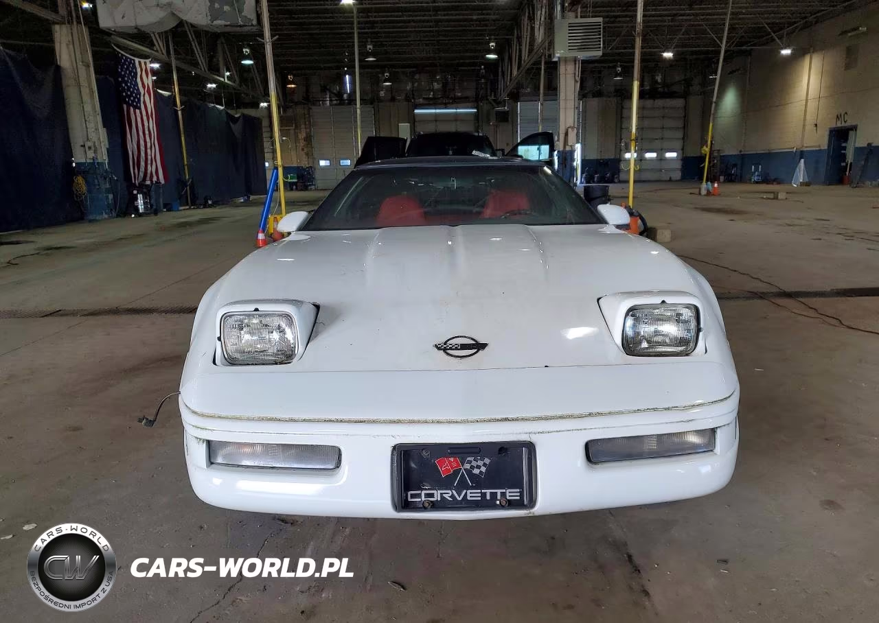 1995 Chevrolet Corvette VIN:1G1YY22P5S5109862 - 5