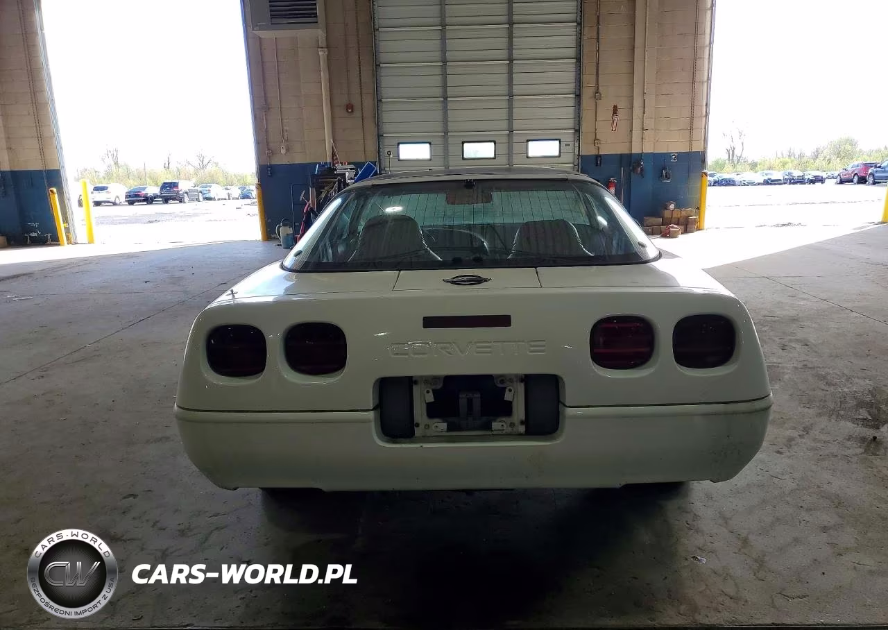 1995 Chevrolet Corvette VIN:1G1YY22P5S5109862 - 6