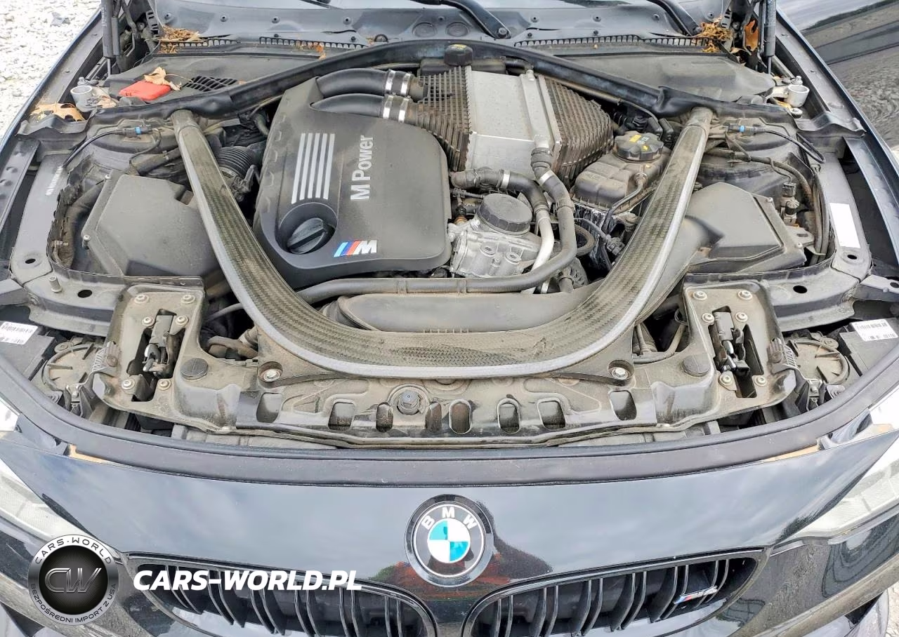 2015 BMW M4 VIN:WBS3R9C52FK334163 - 11