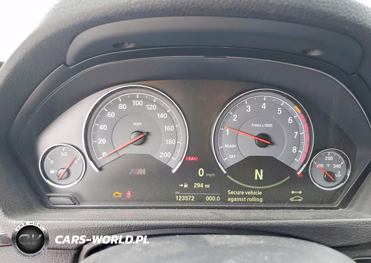 2015 BMW M4 VIN:WBS3R9C52FK334163 - 9