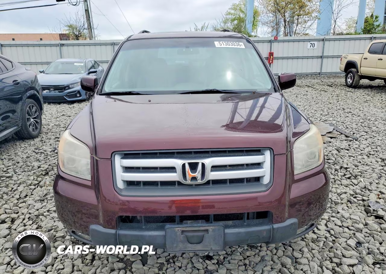2008 Honda Pilot Exl VIN:5FNYF18708B038382 - 5