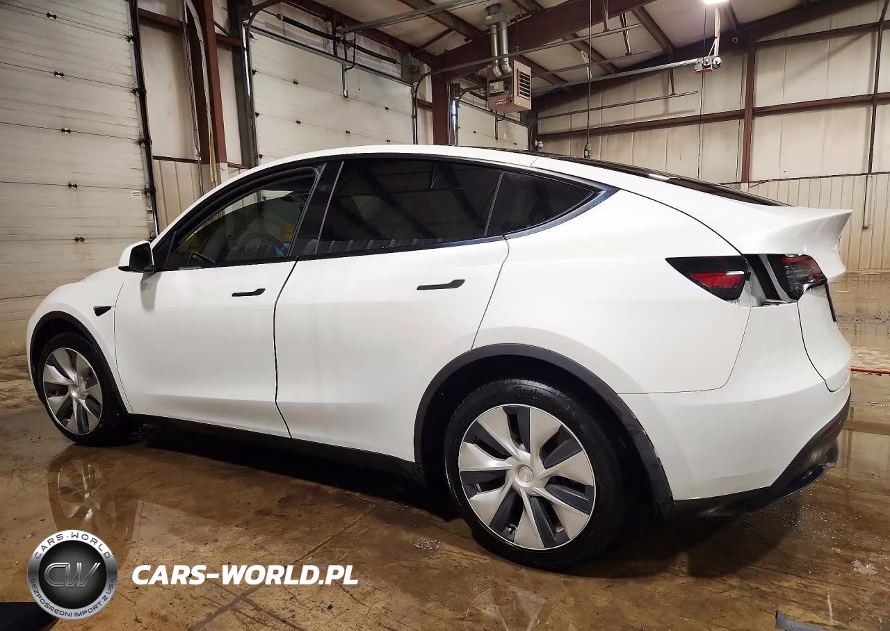 2023 Tesla Model Y VIN:7SAYGAEE8PF881991 - 2