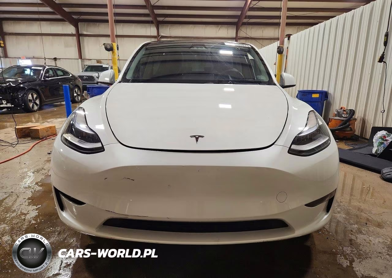 2023 Tesla Model Y VIN:7SAYGAEE8PF881991 - 5
