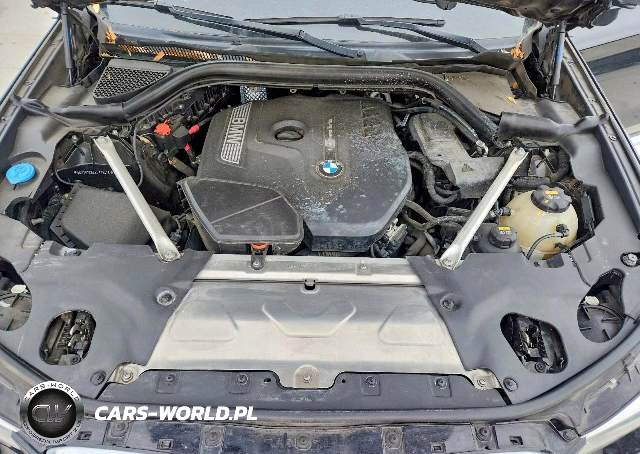 2019 BMW X3 Sdrive30I VIN:5UXTR7C54KLF29425 - 12