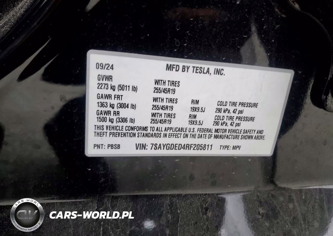 2024 Tesla Model Y VIN:7SAYGDED4RF205811 - 12