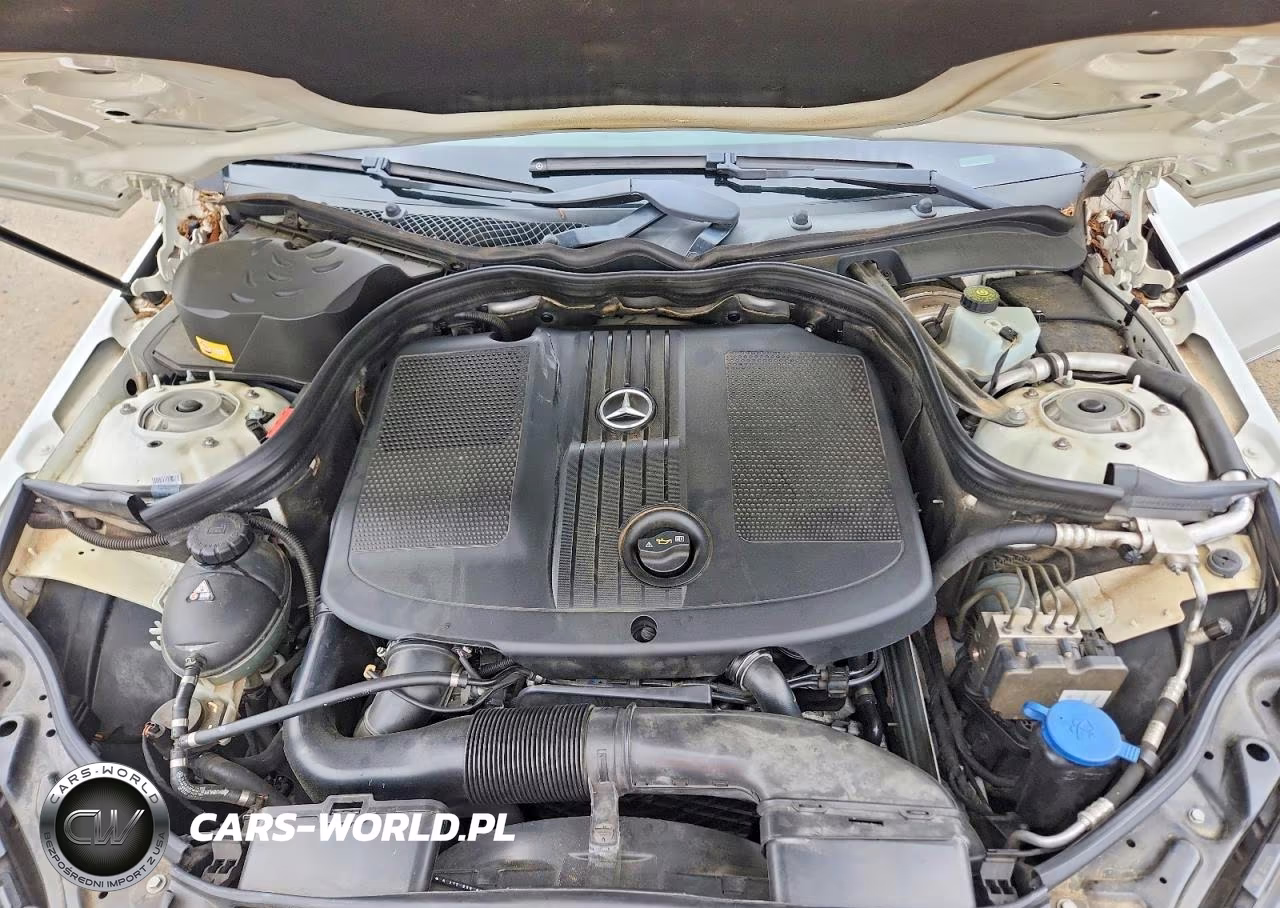 2014 Mercedes-Benz E 250 Bluetec VIN:WDDHF0EB5EA874489 - 11