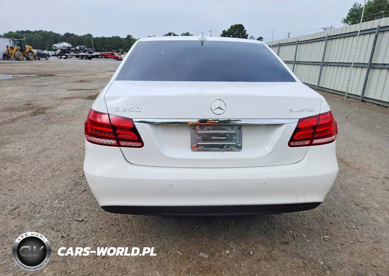 2014 Mercedes-Benz E 250 Bluetec VIN:WDDHF0EB5EA874489 - 6