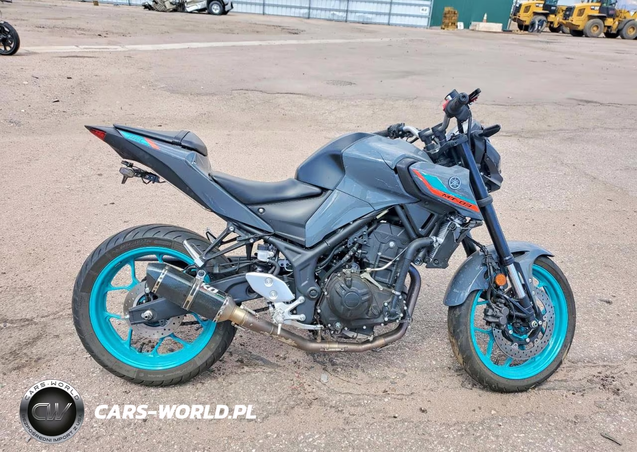 2023 Yama Mt-03
