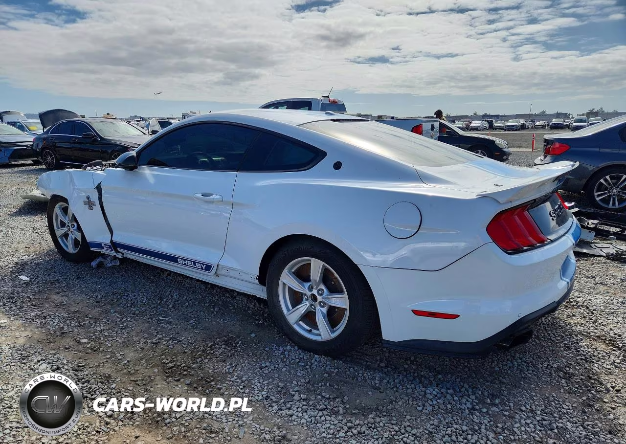 2019 Ford Mustang Gt VIN:1FA6P8CF3K5178789 - 2