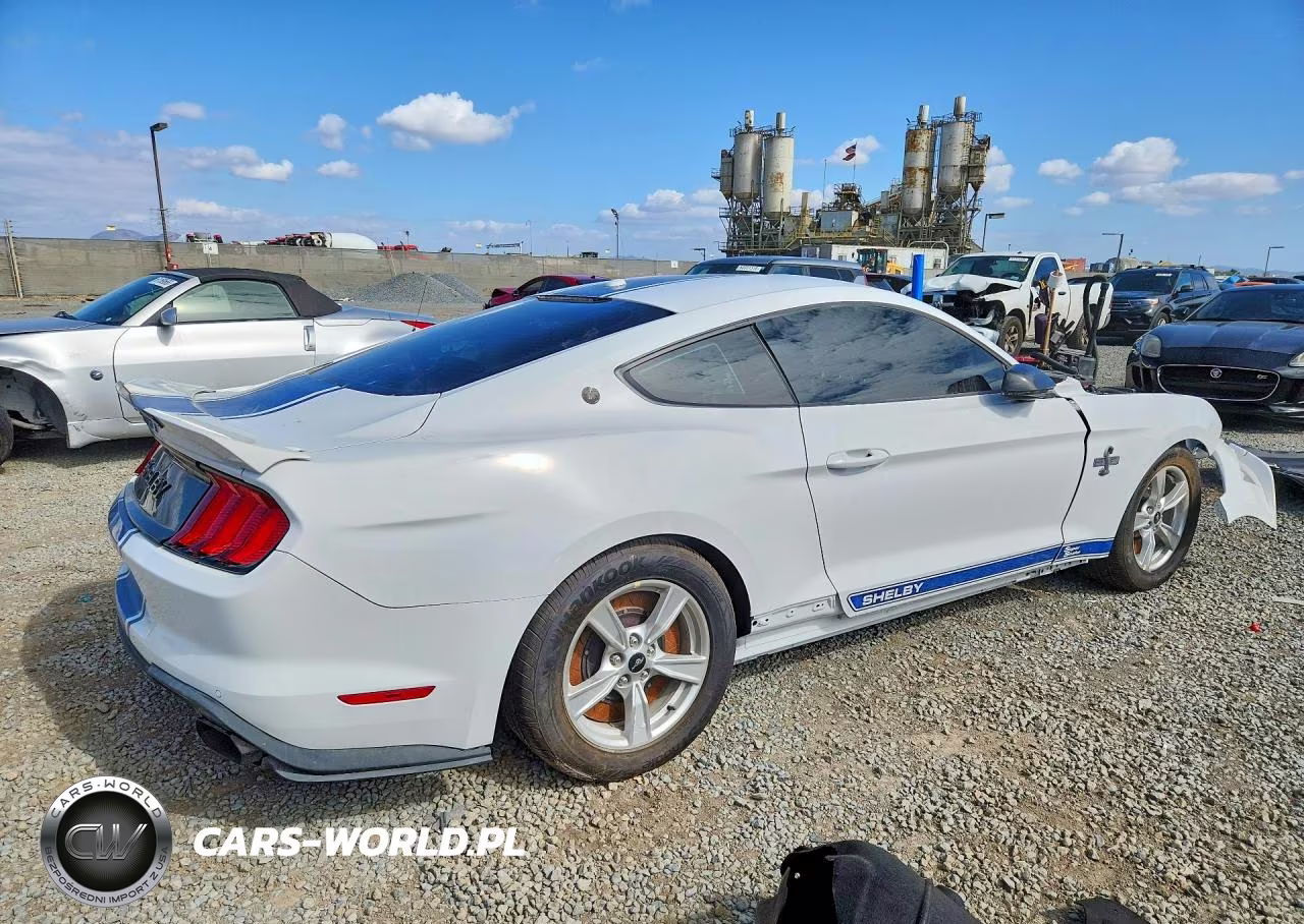 2019 Ford Mustang Gt VIN:1FA6P8CF3K5178789 - 3