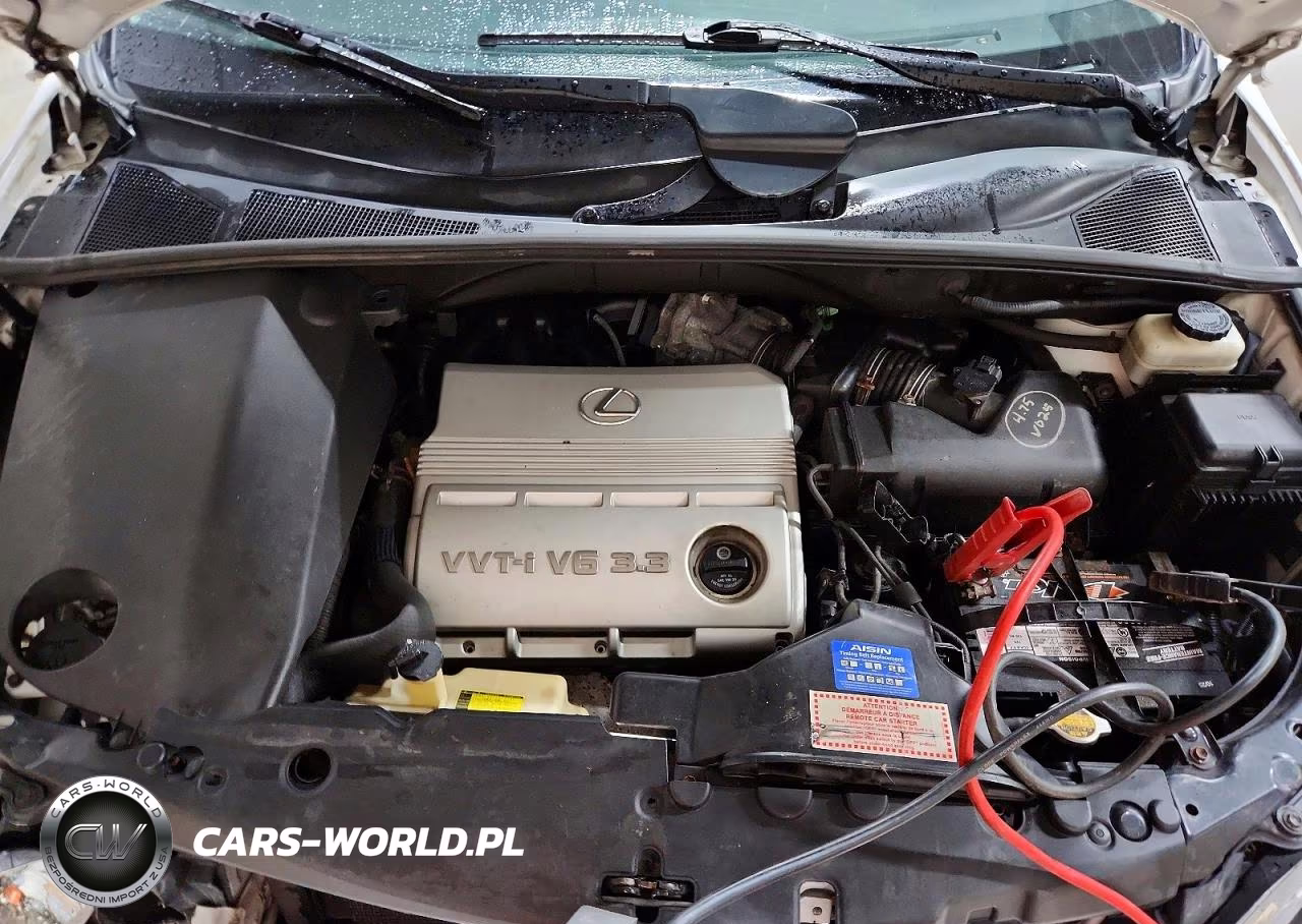 2005 Lexus Rx 330 VIN:2T2HA31U35C051181 - 12