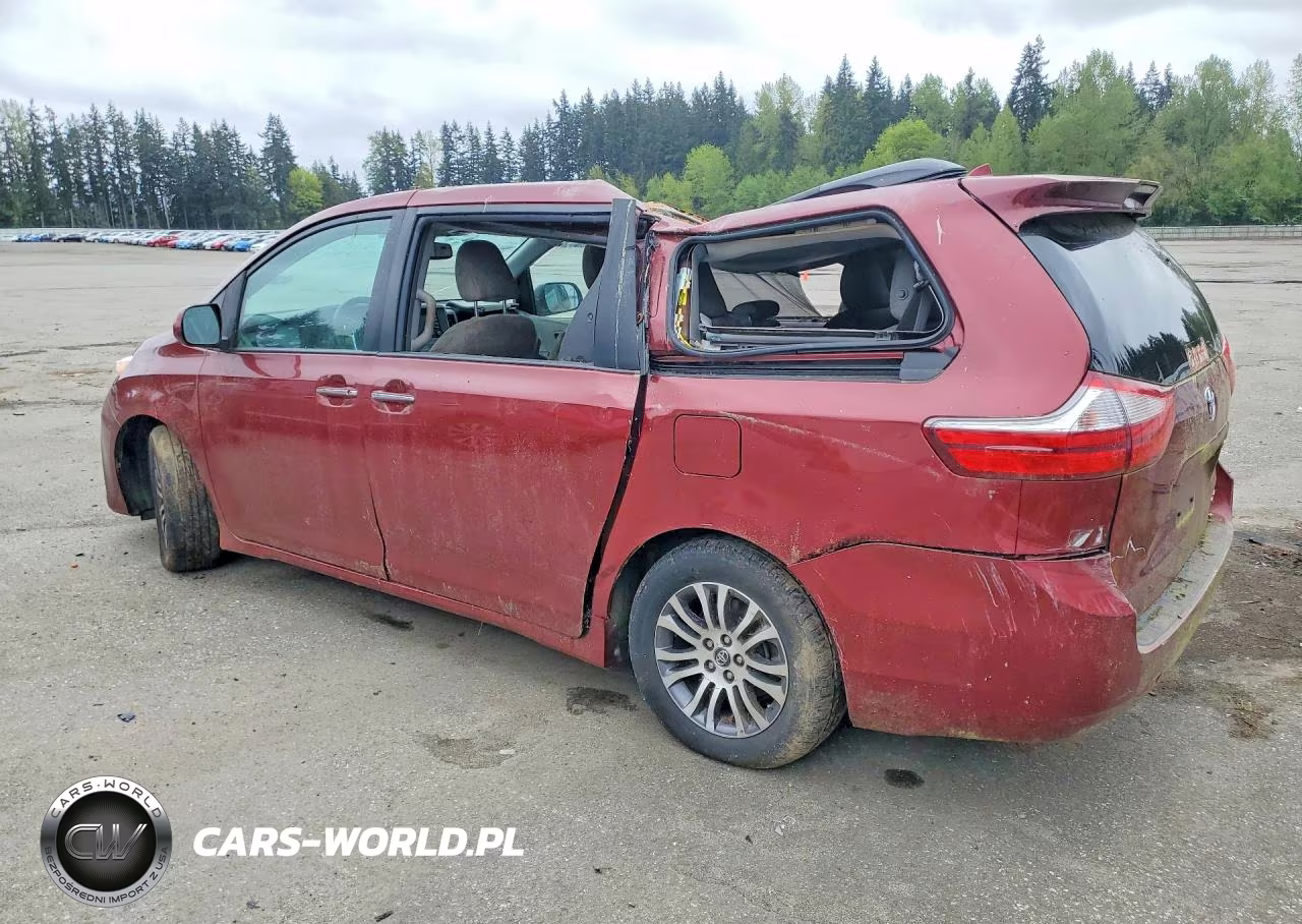 2019 Toyota Sienna Xle 8-Passenger VIN:5TDYZ3DC0KS010302 - 2