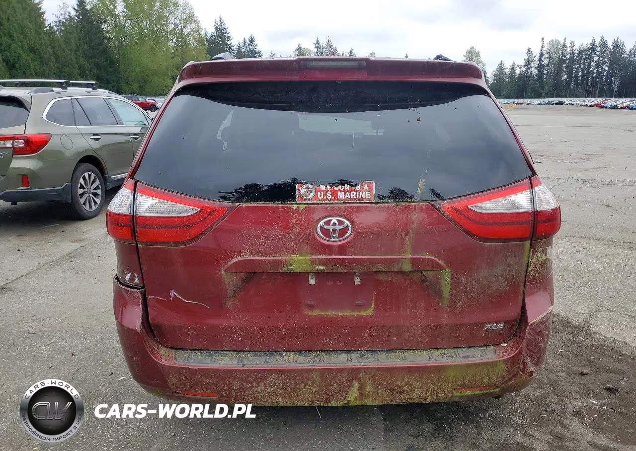 2019 Toyota Sienna Xle 8-Passenger VIN:5TDYZ3DC0KS010302 - 6