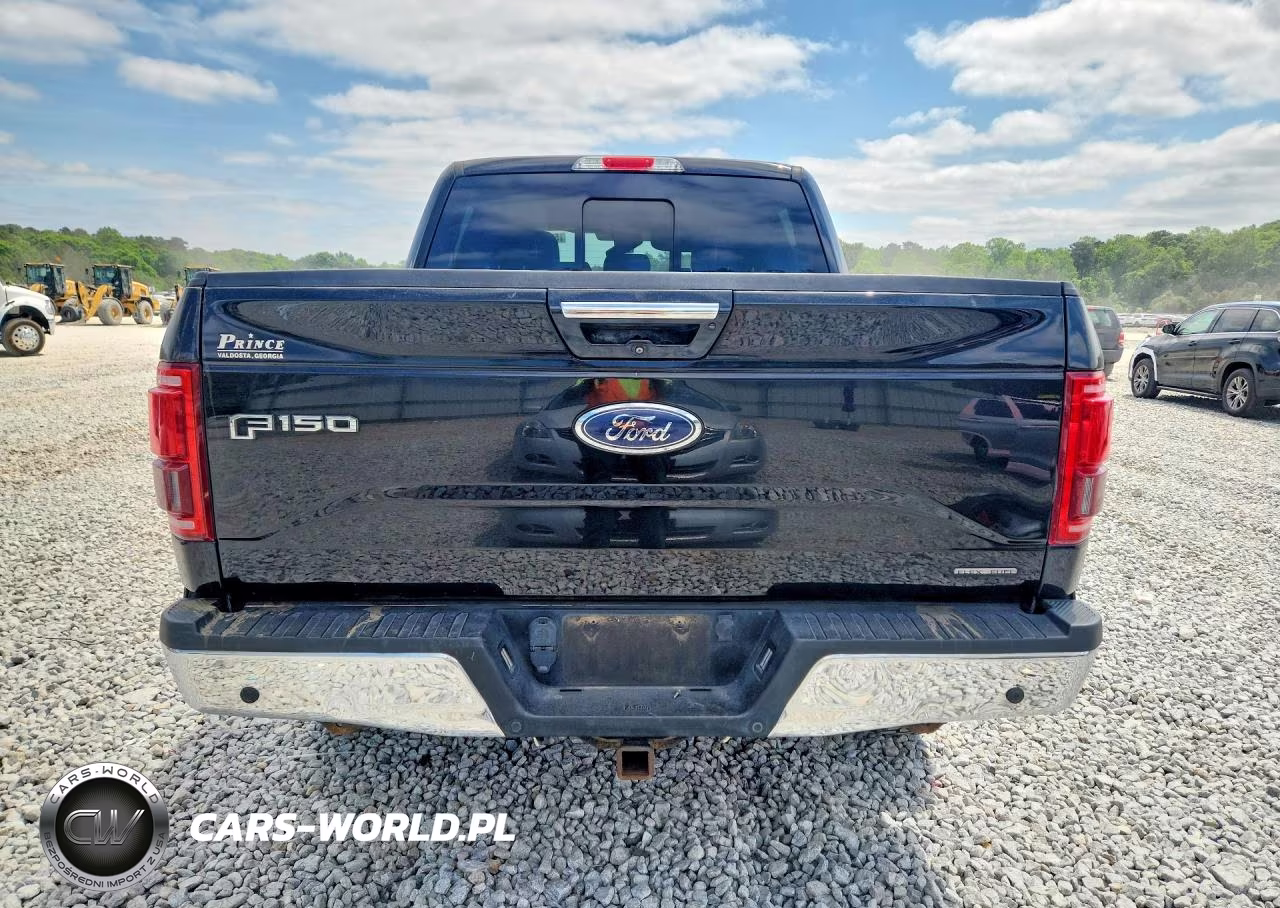 2016 Ford F150 Supercrew VIN:1FTEW1EF0GFA55787 - 6