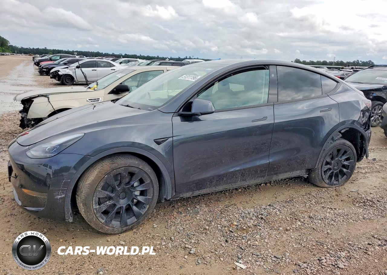 2025 Tesla Model Y