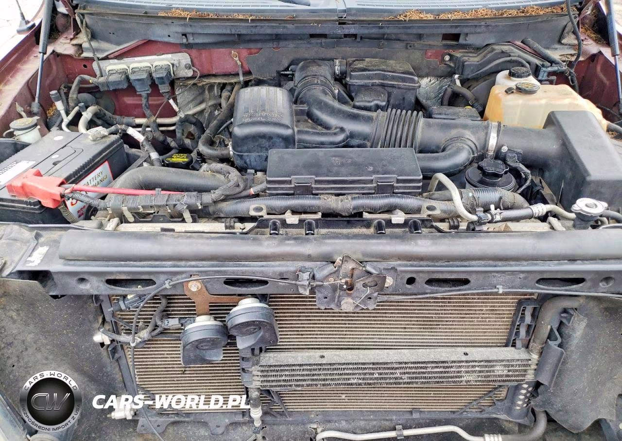 2010 Ford F150 Supercrew VIN:1FTFW1EV1AKC20448 - 11