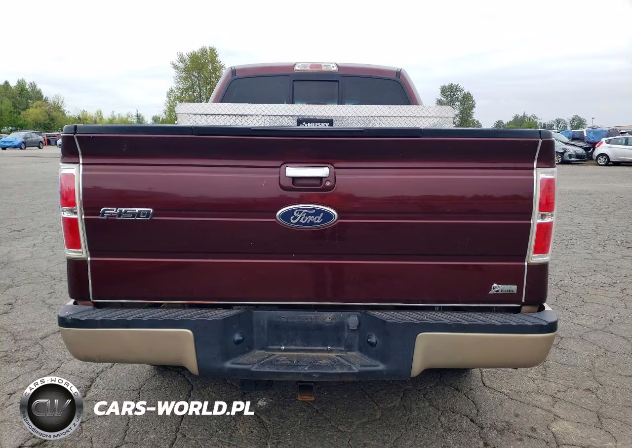 2010 Ford F150 Supercrew VIN:1FTFW1EV1AKC20448 - 6