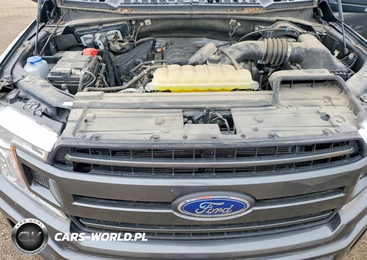 2019 Ford F150 Supercrew VIN:1FTEW1E53KKE79049 - 11