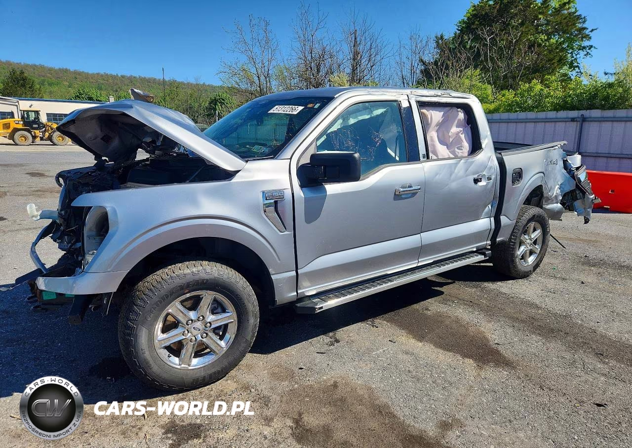 2025 Ford F150 Xlt