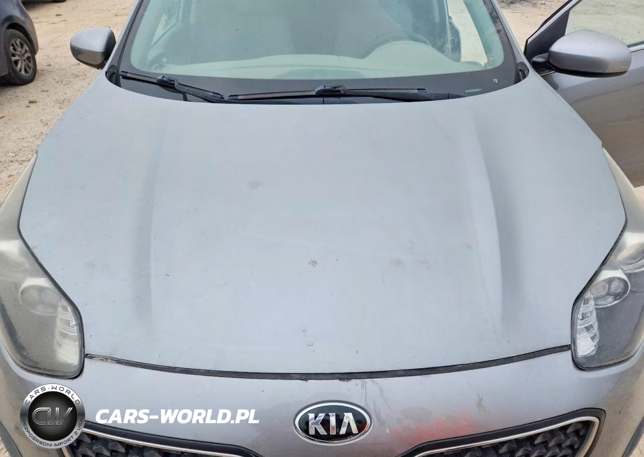 2019 Kia Sportage Lx VIN:KNDPM3AC9K7622491 - 12