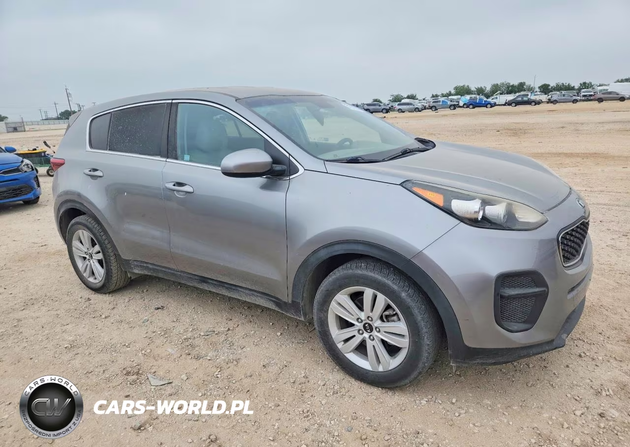 2019 Kia Sportage Lx VIN:KNDPM3AC9K7622491 - 4