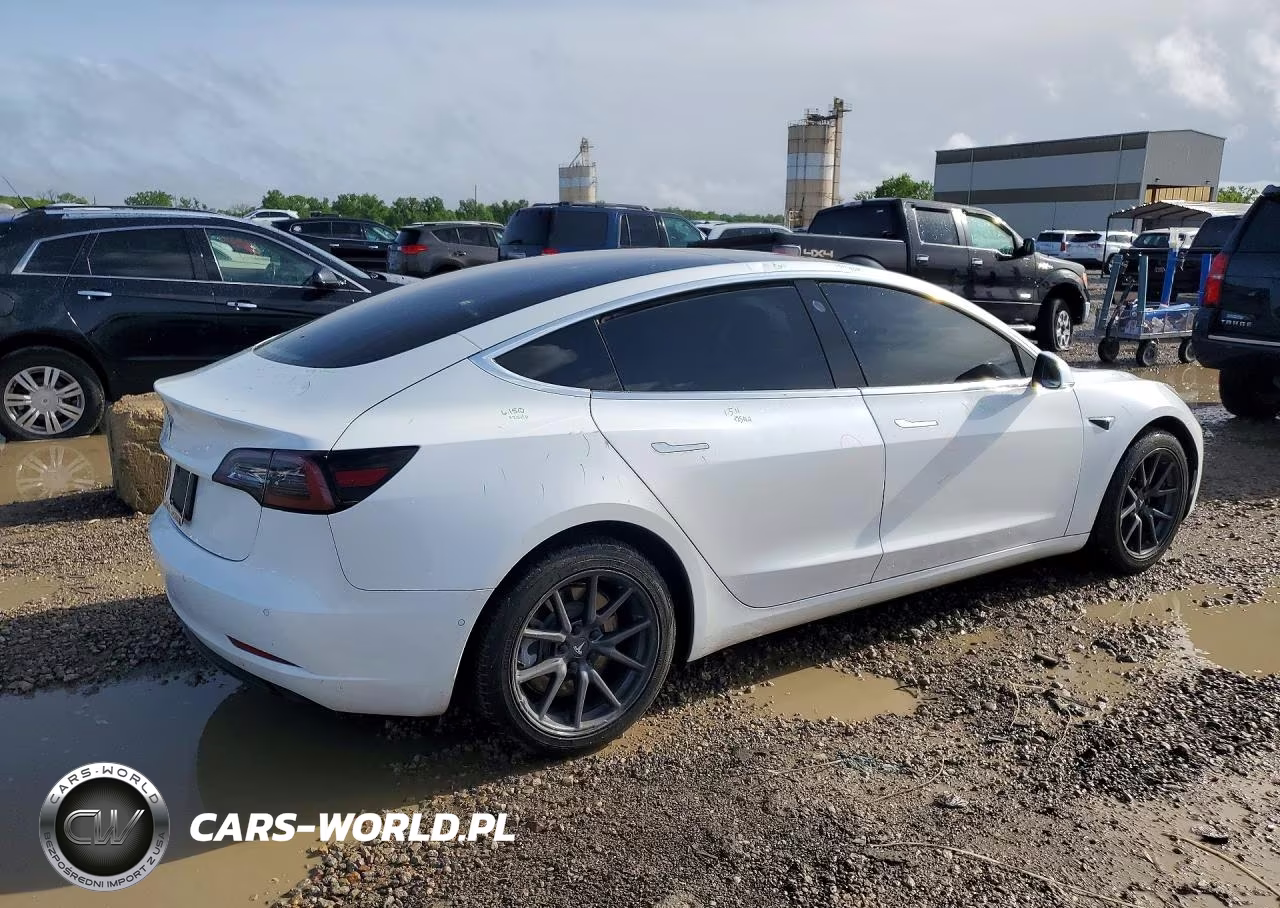 2019 Tesla Model 3 VIN:5YJ3E1EA0KF483001 - 3