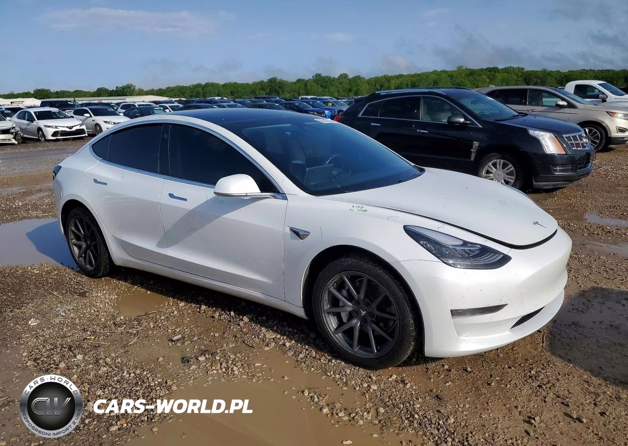 2019 Tesla Model 3 VIN:5YJ3E1EA0KF483001 - 4