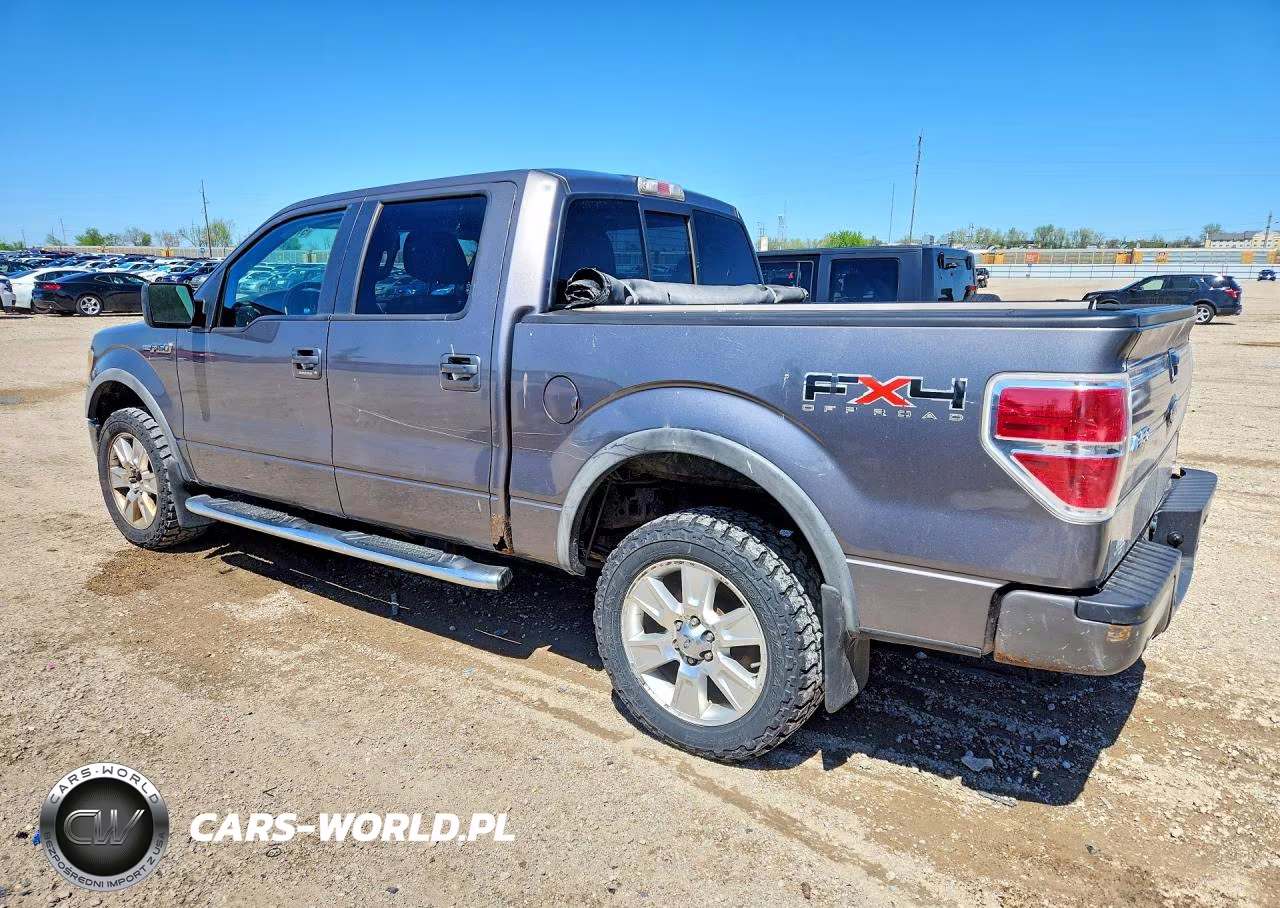 2010 Ford F150 Supercrew VIN:1FTFW1EV2AFD88429 - 2