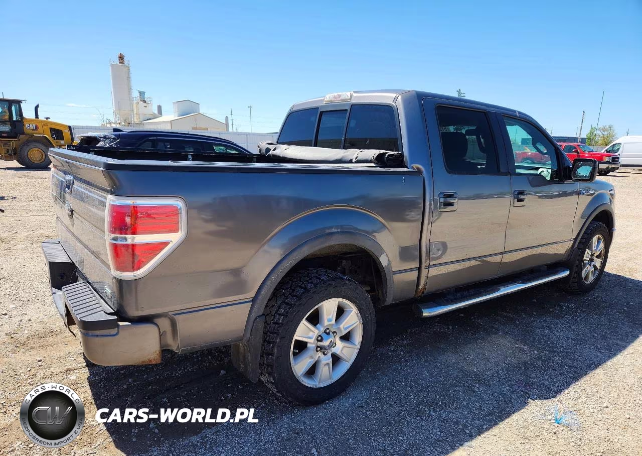 2010 Ford F150 Supercrew VIN:1FTFW1EV2AFD88429 - 3