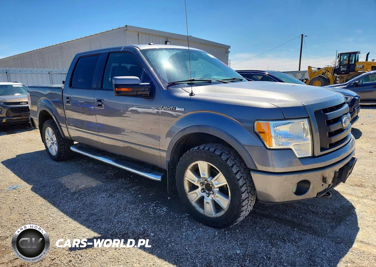 2010 Ford F150 Supercrew VIN:1FTFW1EV2AFD88429 - 4