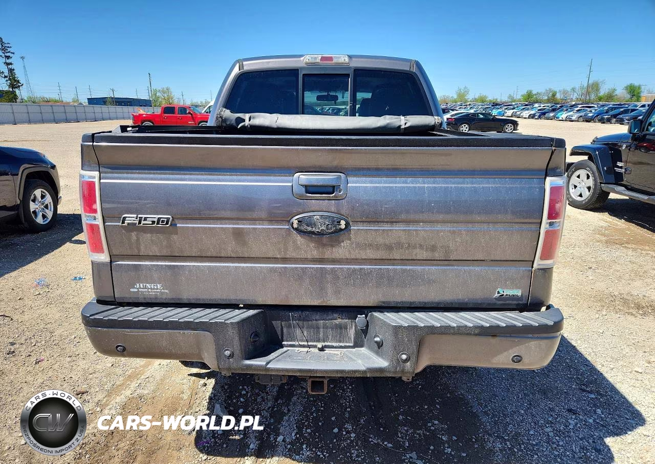 2010 Ford F150 Supercrew VIN:1FTFW1EV2AFD88429 - 6