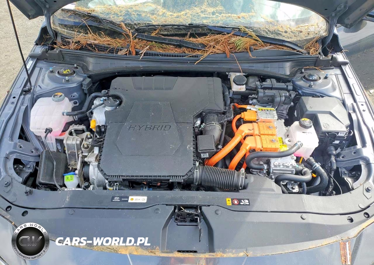 2025 Hyundai Elantra Hybrid Sel Sport VIN:KMHLM4DJ9SU130149 - 11