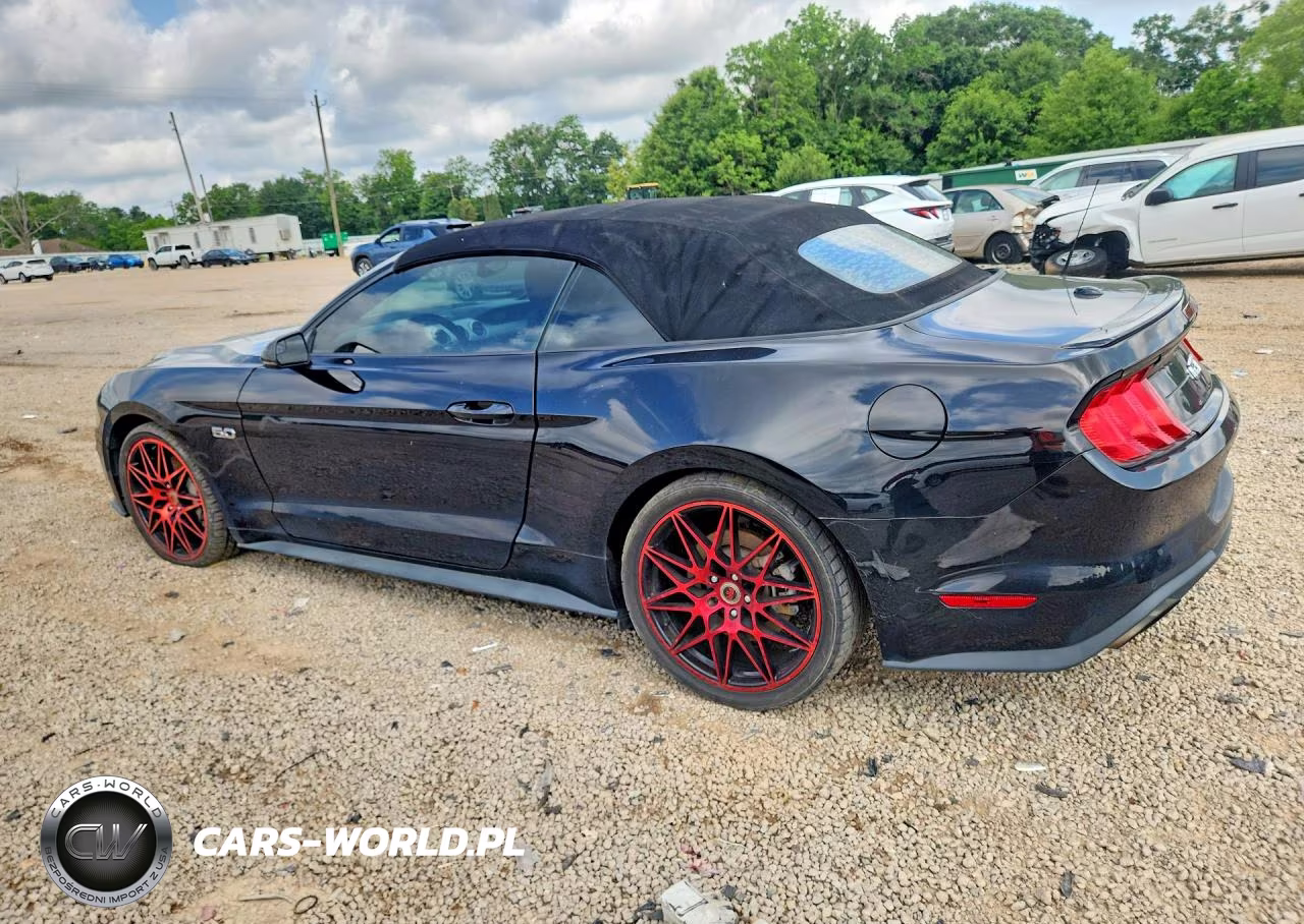 2018 Ford Mustang Gt VIN:1FATP8FF3J5101501 - 2