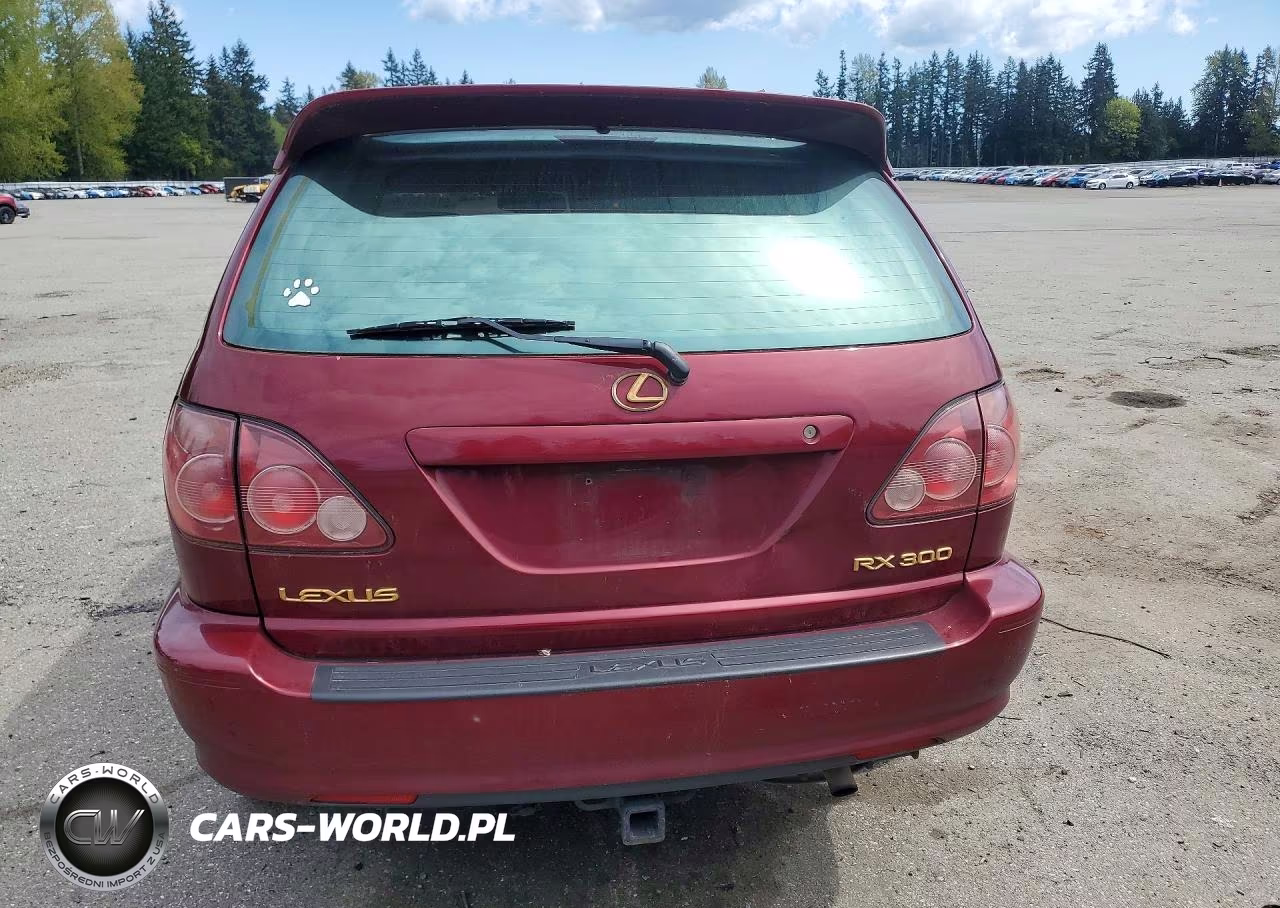 2000 Lexus Rx 300 VIN:JT6HF10U9Y0156664 - 6