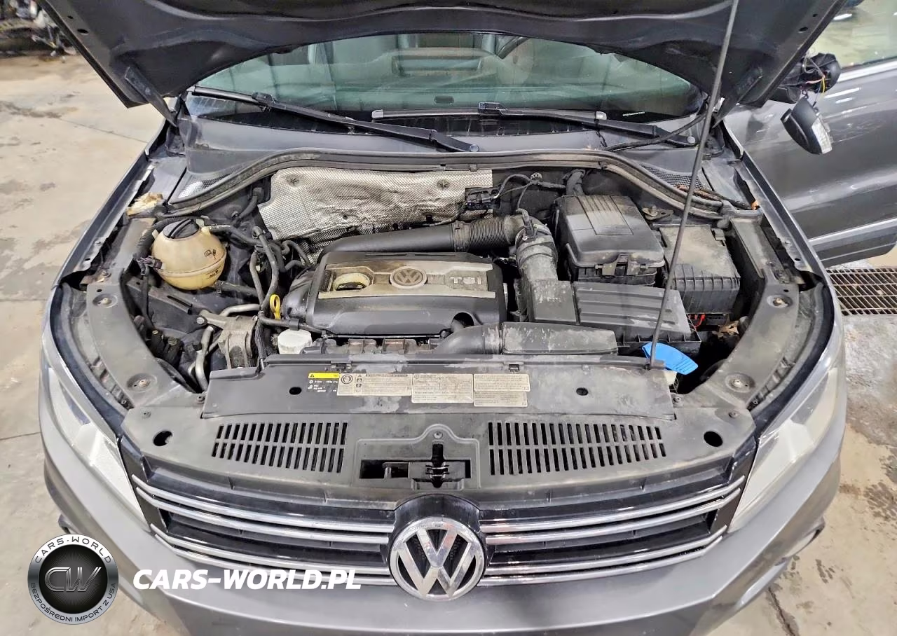 2014 Volkswagen Tiguan S VIN:WVGBV3AX8EW625883 - 12