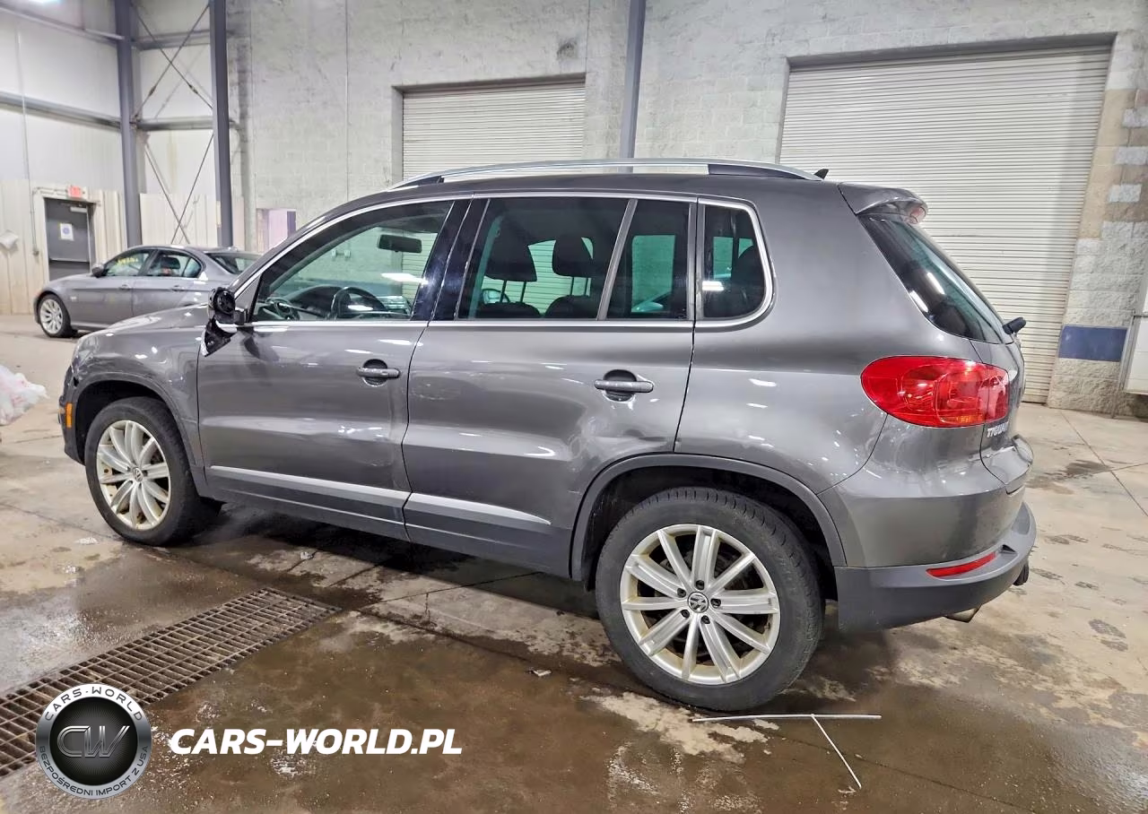 2014 Volkswagen Tiguan S VIN:WVGBV3AX8EW625883 - 2