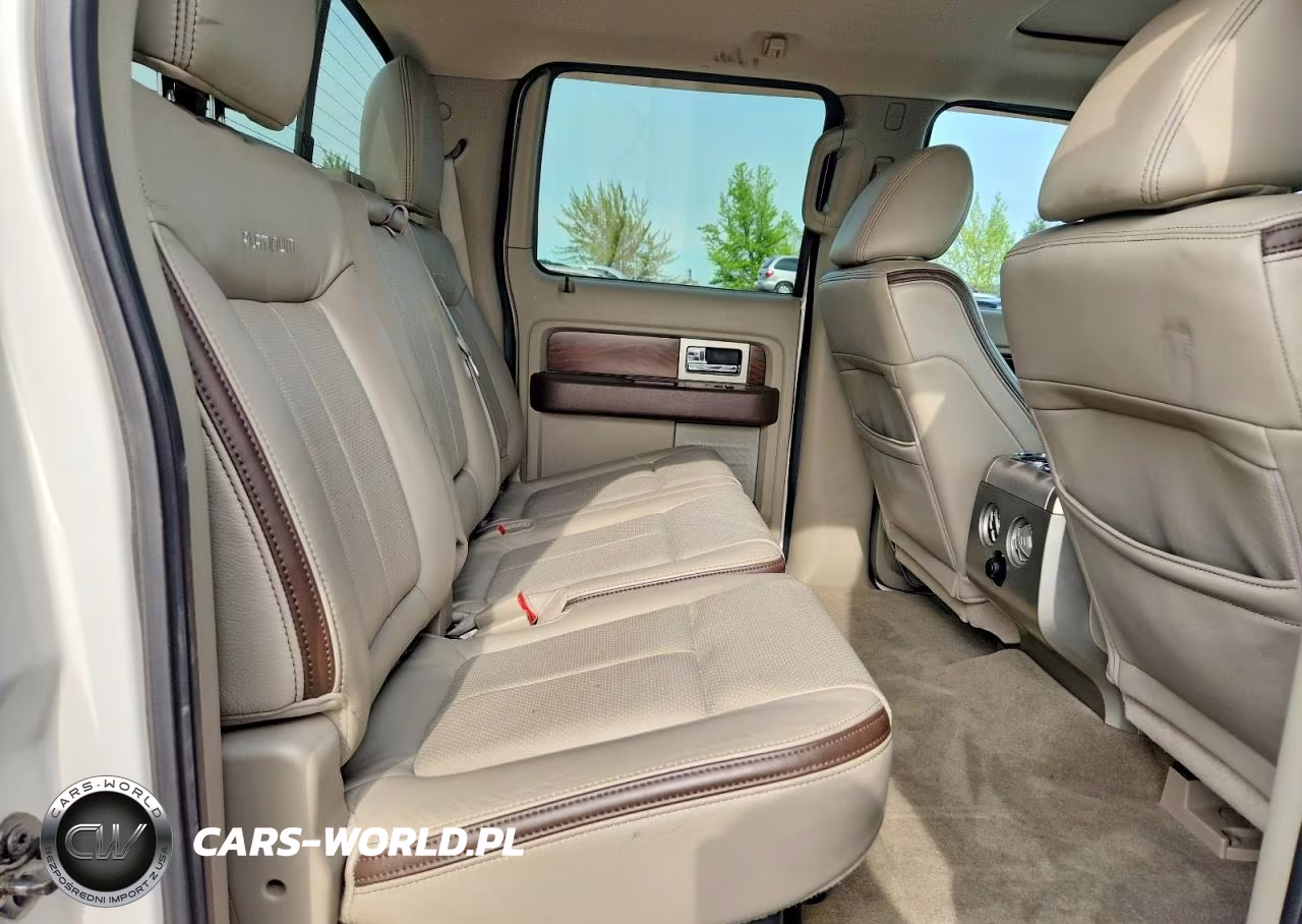 2010 Ford F150 Supercrew VIN:1FTFW1EV3AFB22353 - 10