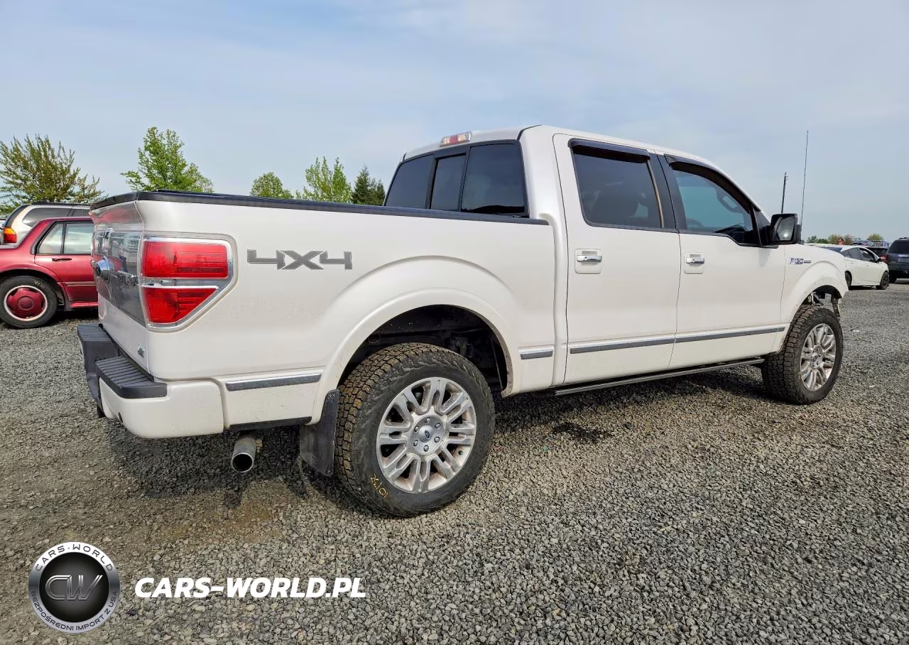 2010 Ford F150 Supercrew VIN:1FTFW1EV3AFB22353 - 3