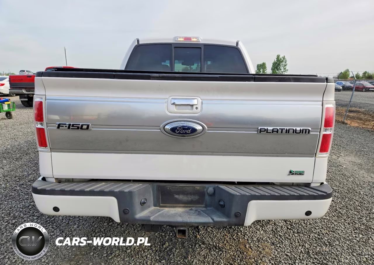 2010 Ford F150 Supercrew VIN:1FTFW1EV3AFB22353 - 6
