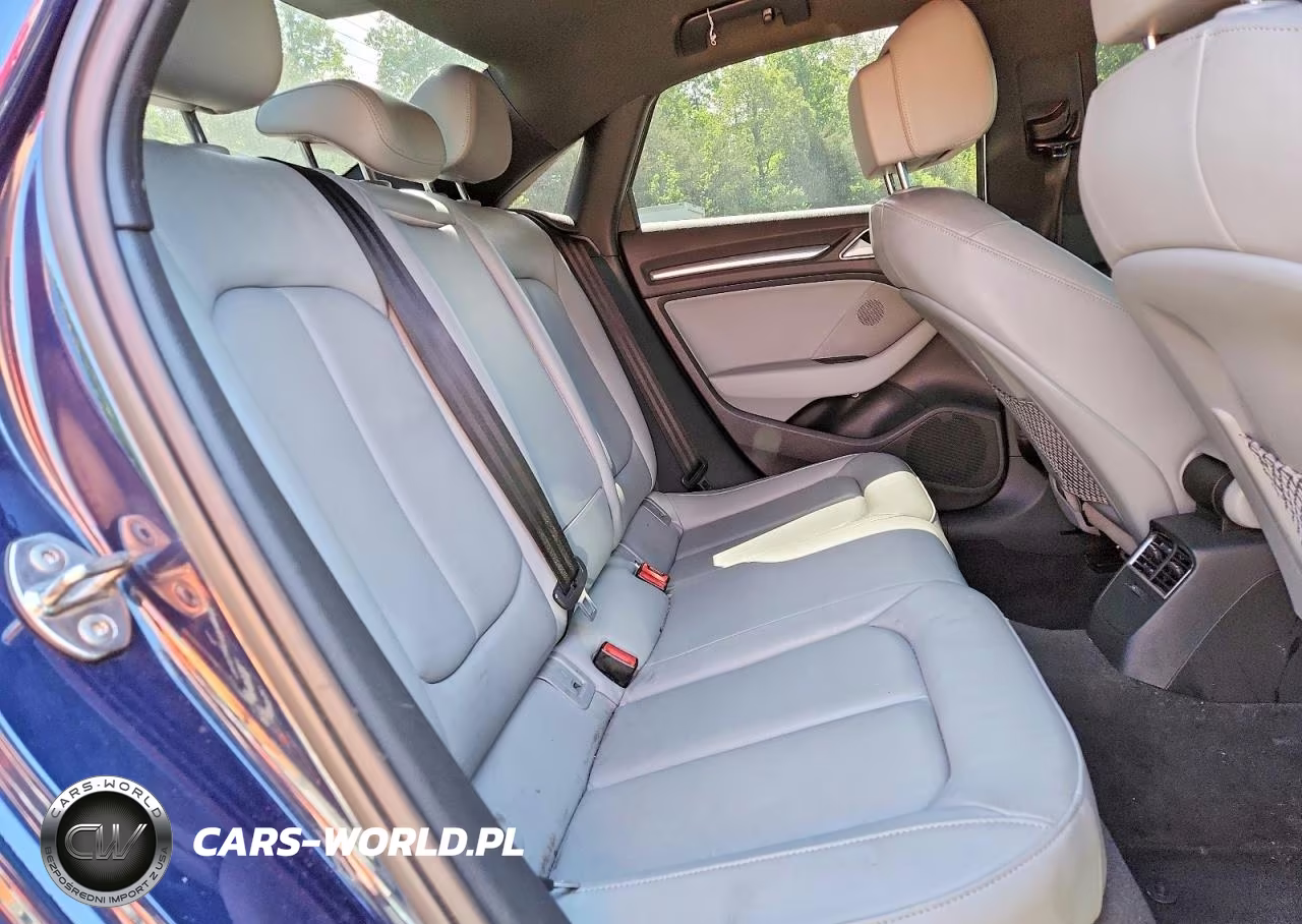 2020 Audi A3 Premium VIN:WAUAUGFFXLA015503 - 10