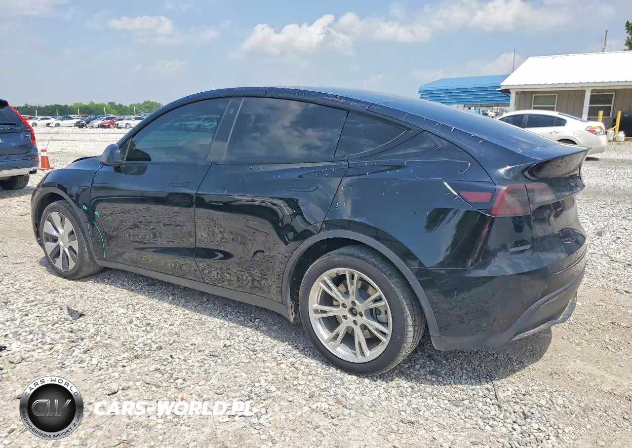 2022 Tesla Model Y VIN:7SAYGDEE3NF328499 - 2