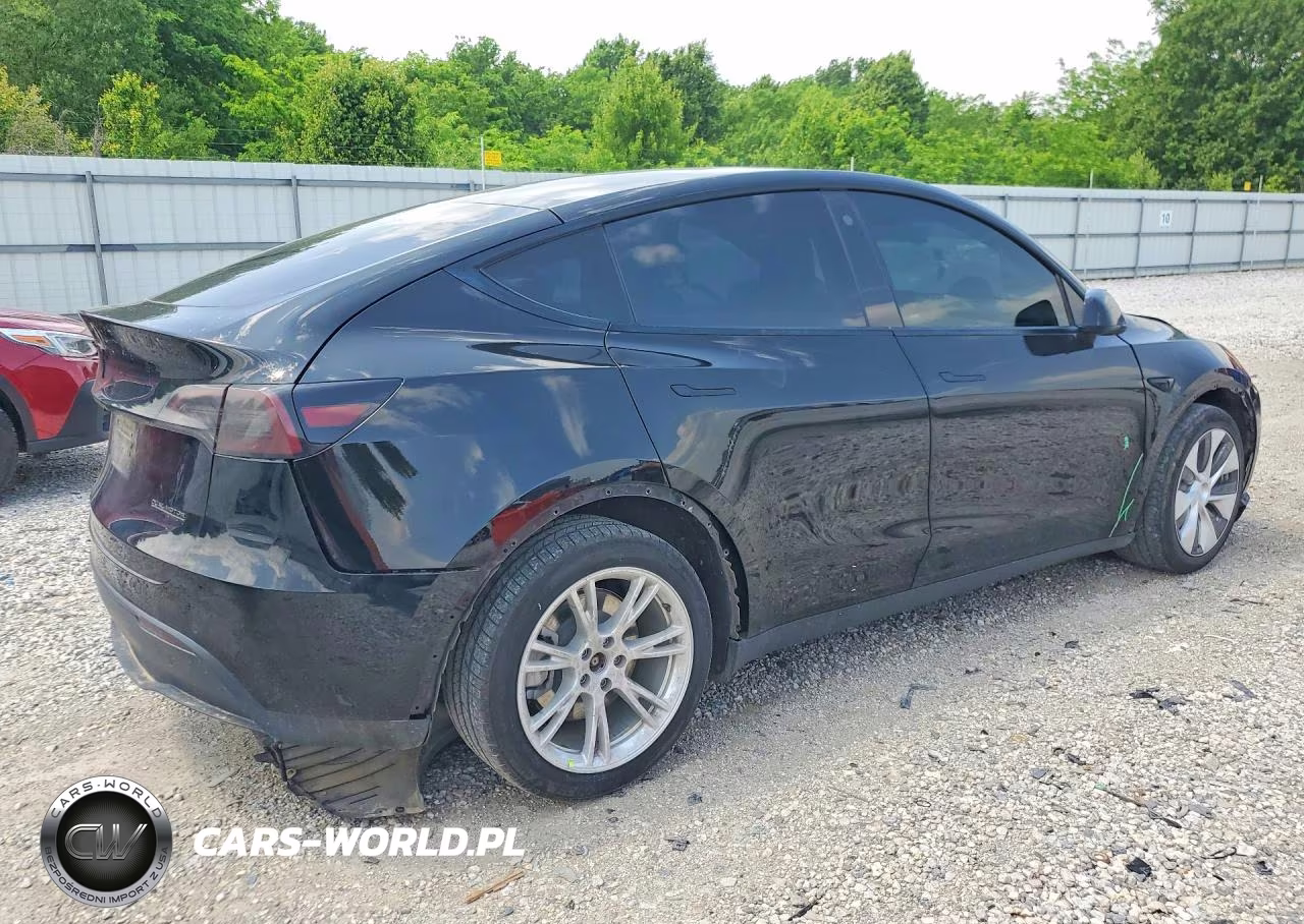 2022 Tesla Model Y VIN:7SAYGDEE3NF328499 - 3