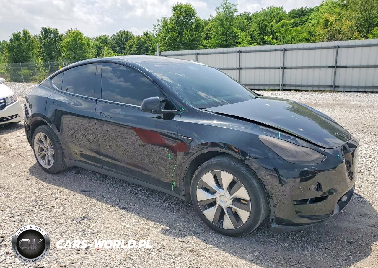 2022 Tesla Model Y VIN:7SAYGDEE3NF328499 - 4