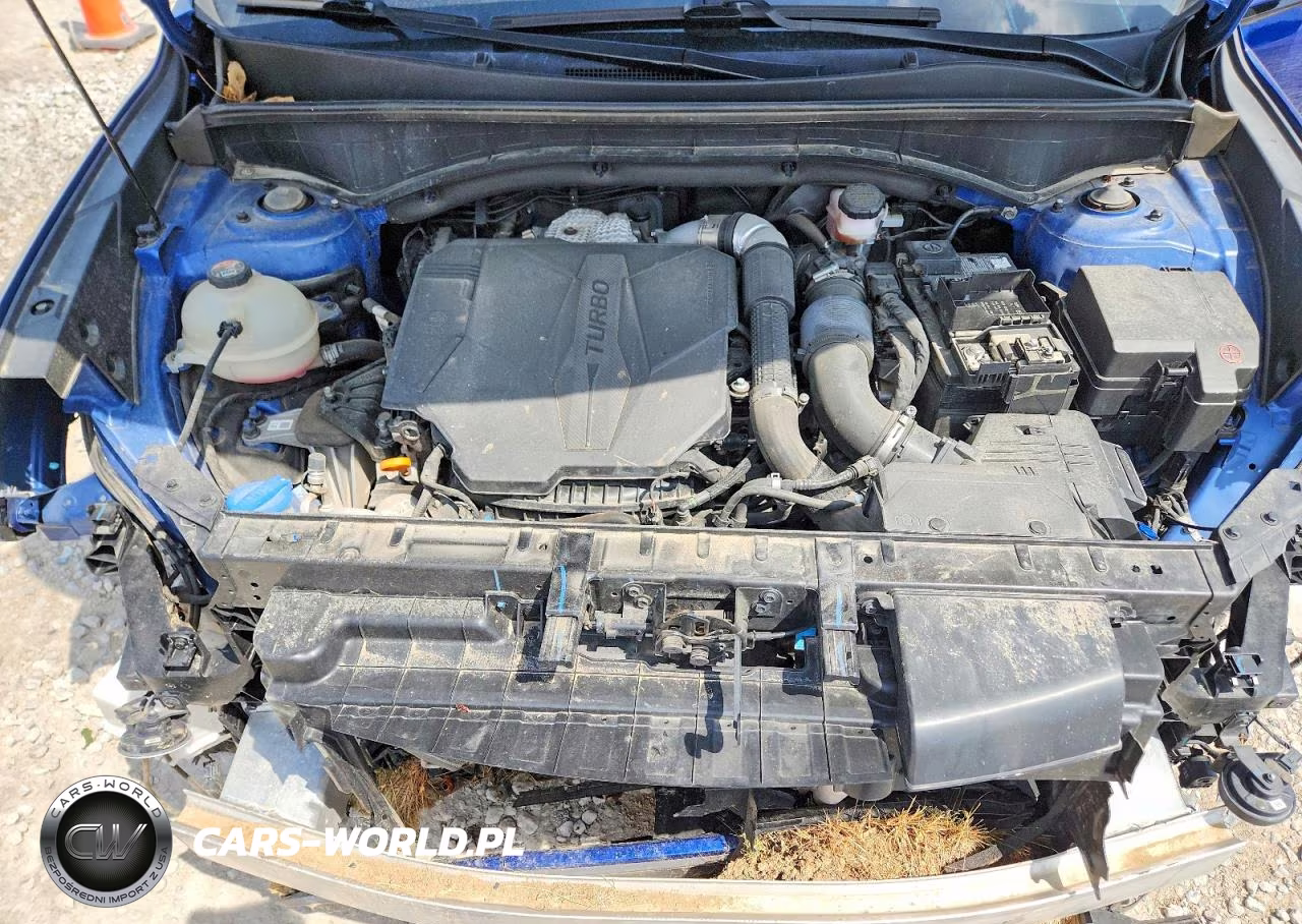 2021 Kia Sorento Sx VIN:5XYRKDLFXMG059095 - 12