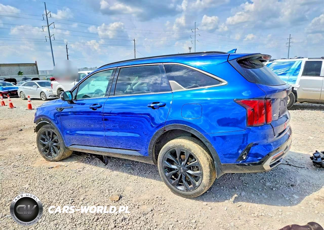 2021 Kia Sorento Sx VIN:5XYRKDLFXMG059095 - 2